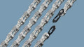 12 Speed Chains