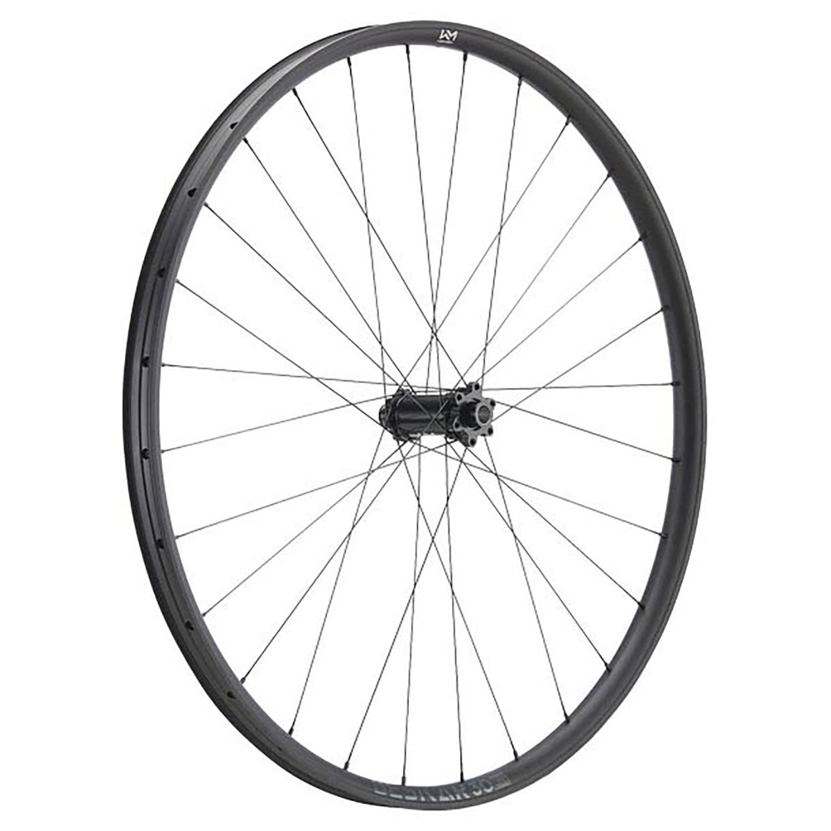 NEWMEN Front Wheel - Beskar 30 light 29" 28h FADE SP 6B 15x110 - XC
