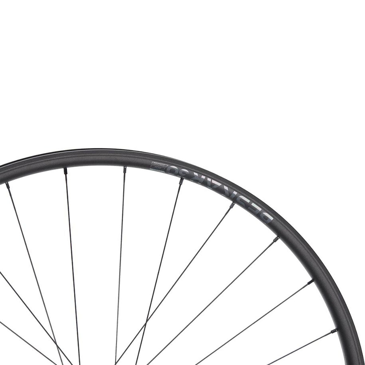 NEWMEN Front Wheel - Beskar 30 light 29" 28h FADE SP 6B 15x110 - XC